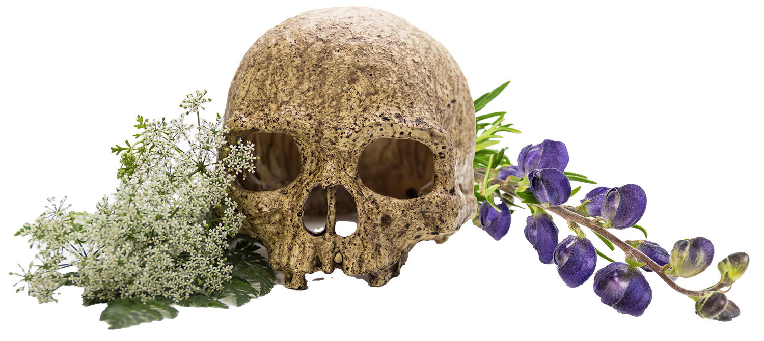 Hemlock Skull Wolfsbane 1500×670